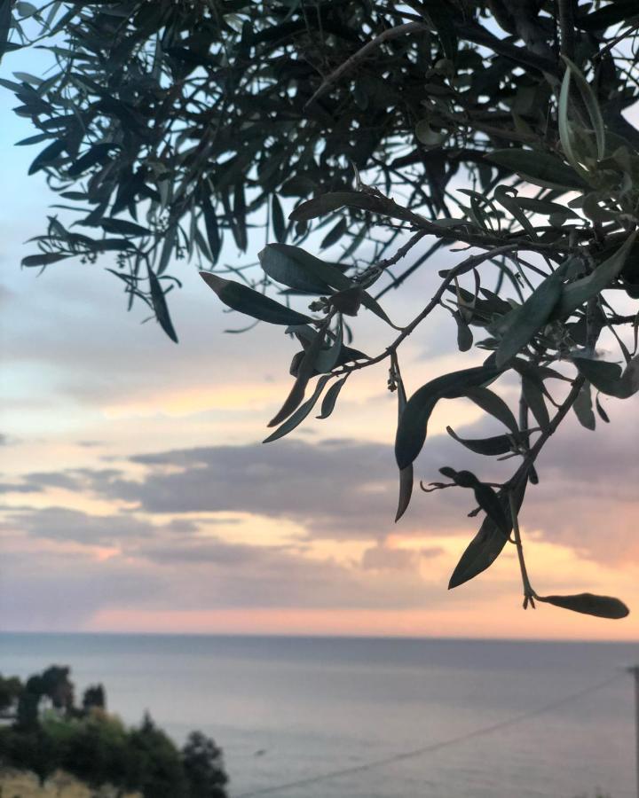 Hotel Senator Ούλτσιν Εξωτερικό φωτογραφία