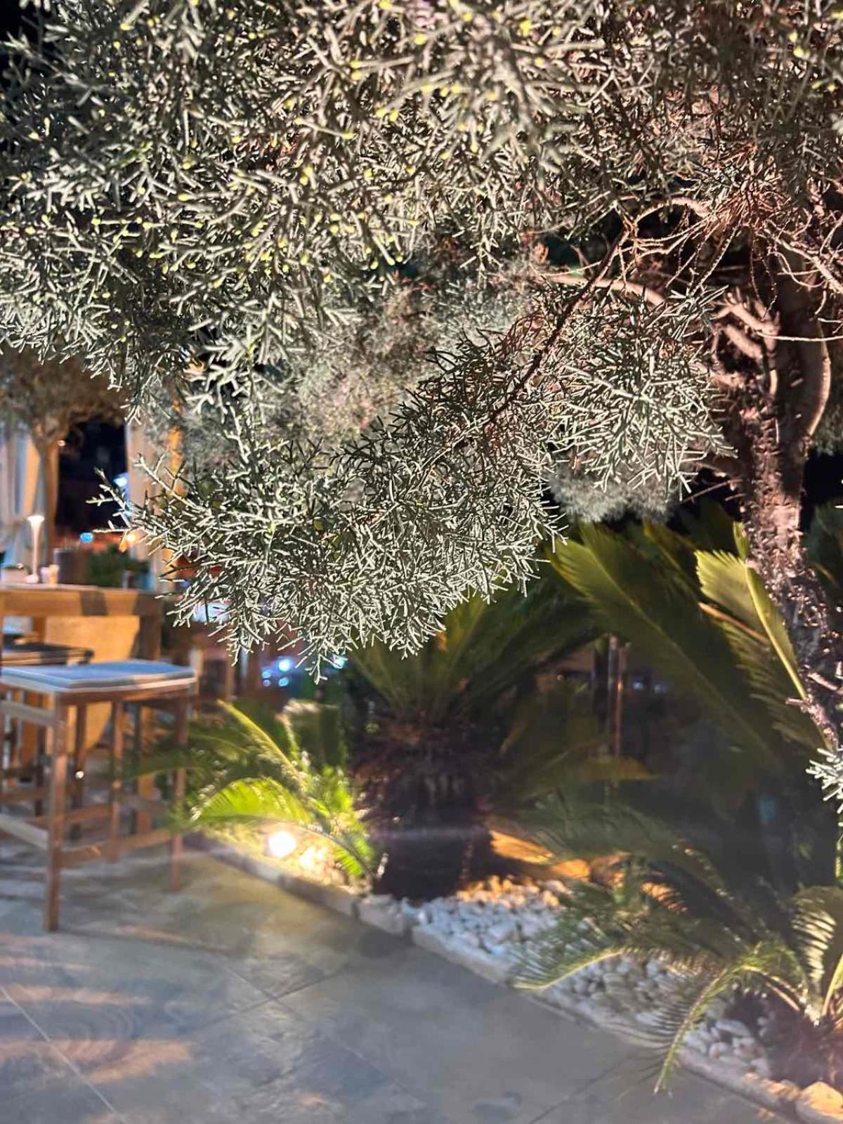 Hotel Senator Ούλτσιν Εξωτερικό φωτογραφία